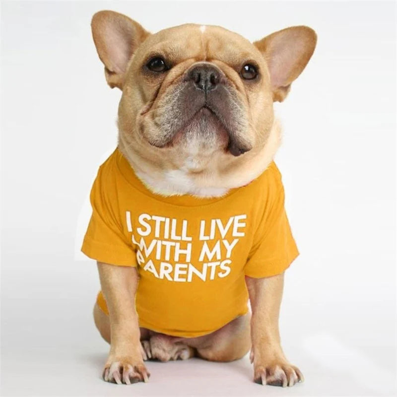 Spring Summer Pet Dog Clothes Round Neck T-shirt for Small Dogs French Bulldog Shiba Inu Puppy Pullovers Letter Print Vest