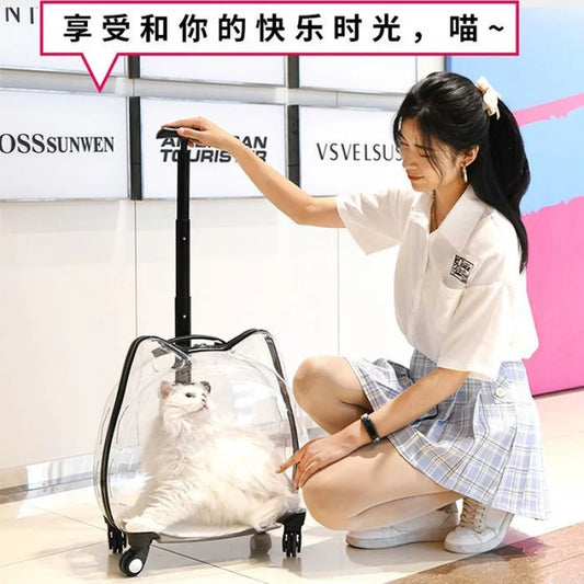 Cat Carrier Pet Trolley Box Outdoor Portable Transparent Push-Pull Box Cat Stroller Backpack Dog Luggage Large Capacity