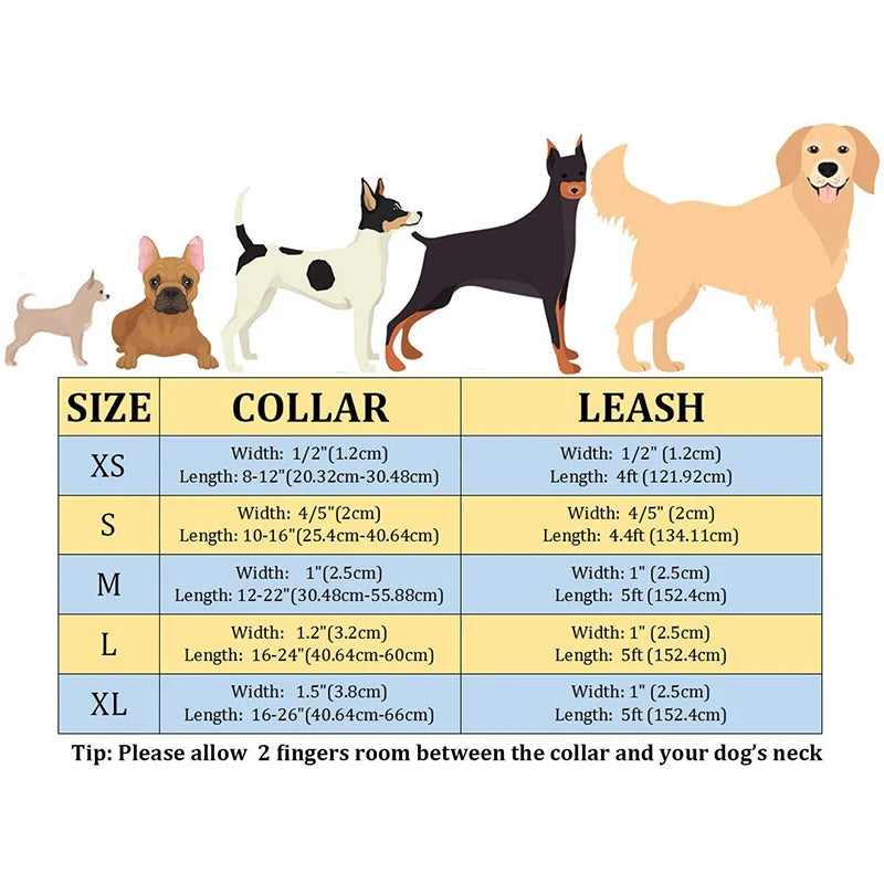 Unique Style Paws Cute Pink Puppy Personalized Christmas Blue Velvet Personalized  Dog Collar