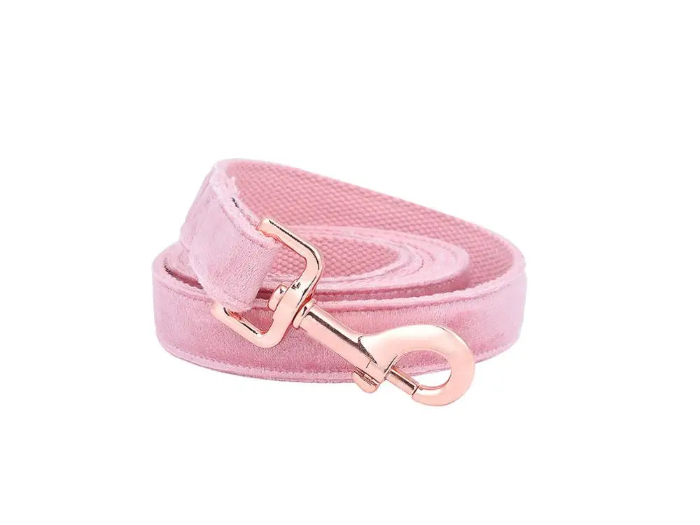 Unique Style Paws Cute Pink Puppy Personalized Christmas Blue Velvet Personalized  Dog Collar