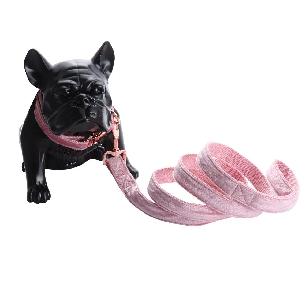 Unique Style Paws Cute Pink Puppy Personalized Christmas Blue Velvet Personalized  Dog Collar