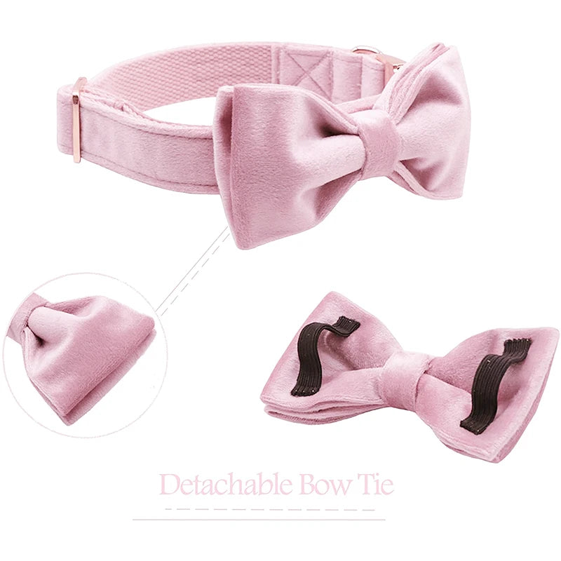 Unique Style Paws Cute Pink Puppy Personalized Christmas Blue Velvet Personalized  Dog Collar