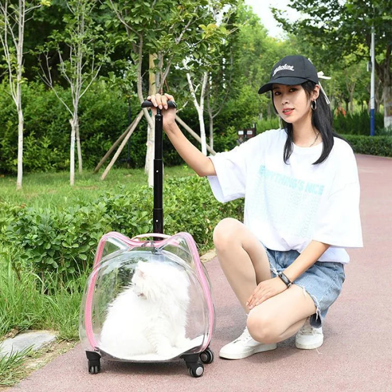 Cat Carrier Pet Trolley Box Outdoor Portable Transparent Push-Pull Box Cat Stroller Backpack Dog Luggage Large Capacity