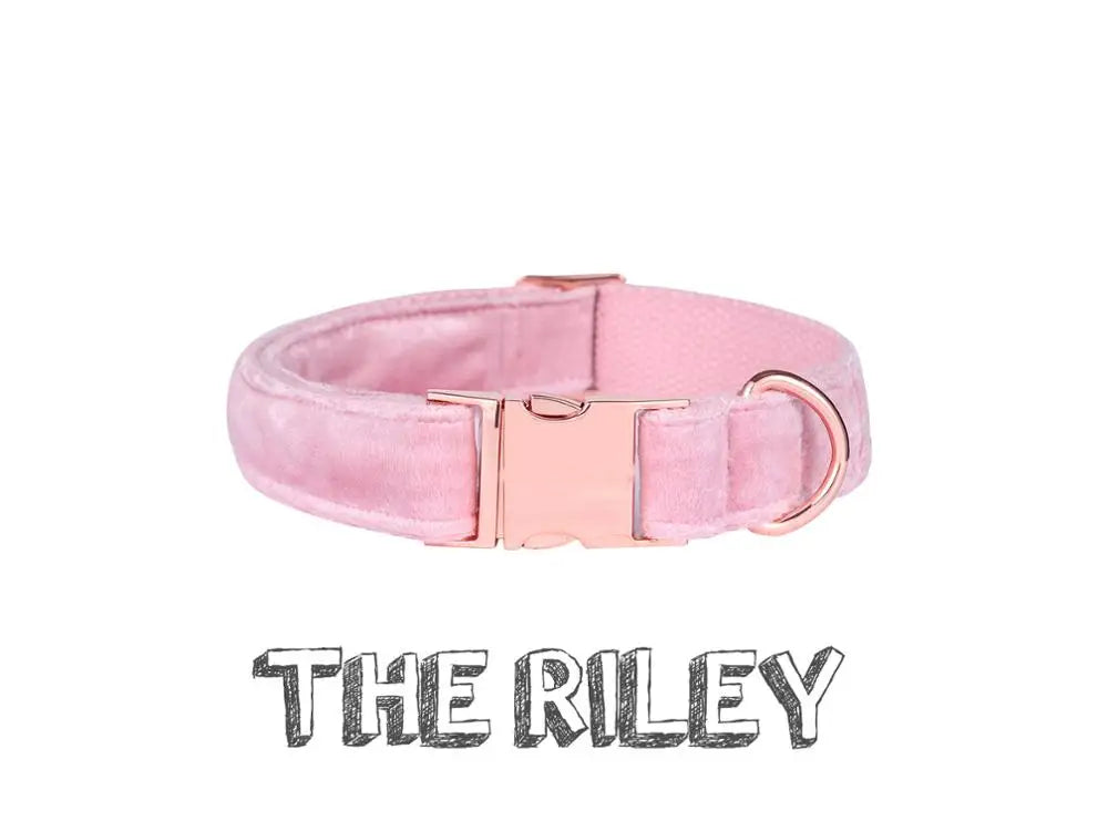 Unique Style Paws Cute Pink Puppy Personalized Christmas Blue Velvet Personalized  Dog Collar